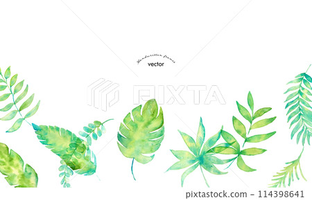 Watercolor painting. Tropical leaf material drawn with a watercolor touch. Summer vector leaf illustration. Watercolor painting. Tropical leaf material drawn with a watercolor touch. Summer vector leaf illustration. 114398641