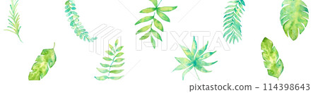 Watercolor painting. Tropical leaf material drawn with a watercolor touch. Summer vector leaf illustration. Watercolor painting. Tropical leaf material drawn with a watercolor touch. Summer vector leaf illustration. 114398643