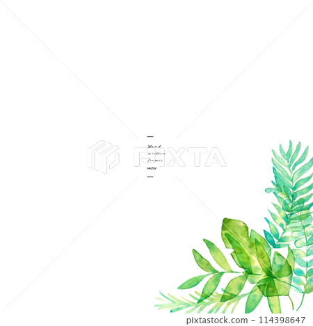 水彩。用水彩筆繪製的熱帶樹葉材料。夏季矢量葉圖。 水彩。用水彩筆繪製的熱帶樹葉材料。夏季矢量葉圖。 114398647