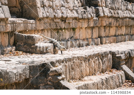 墨西哥街頭小吃 墨西哥街頭小吃 114398834