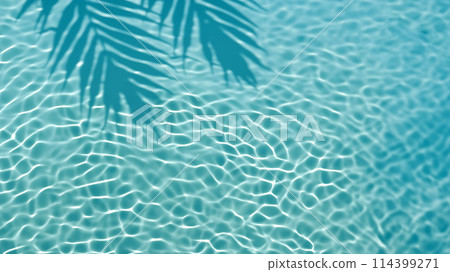 熱帶植物葉子的陰影反射在水面上 熱帶植物葉子的陰影反射在水面上 114399271