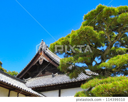 岡山縣備中分寺本堂屋頂 114399310