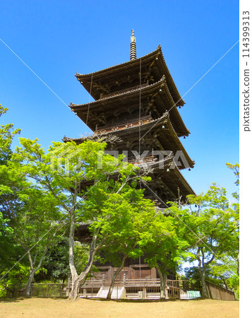 岡山縣 岡山縣 114399313