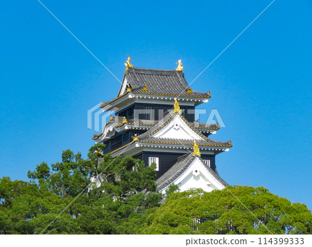 岡山城高聳的塔樓 岡山城高聳的塔樓 114399333