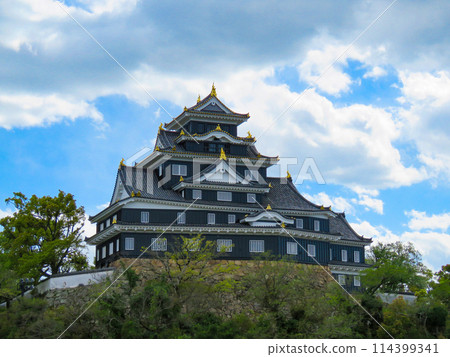 岡山城高聳的塔樓 114399341
