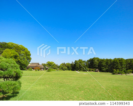 岡山後樂園的風景 岡山後樂園的風景 114399343