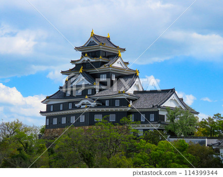 岡山城高聳的塔樓 岡山城高聳的塔樓 114399344