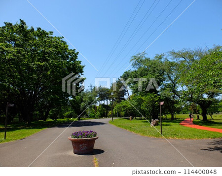 初夏的埼玉縣和光十林公園 初夏的埼玉縣和光十林公園 114400048