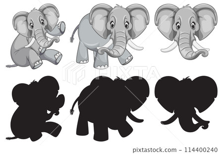 Elephant Family Vector Illustrations Set 114400240