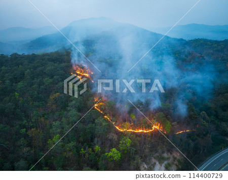 The forest fire caused by throw cigarette butts out to roadside. The forest fire caused by throw cigarette butts out to roadside. 114400729