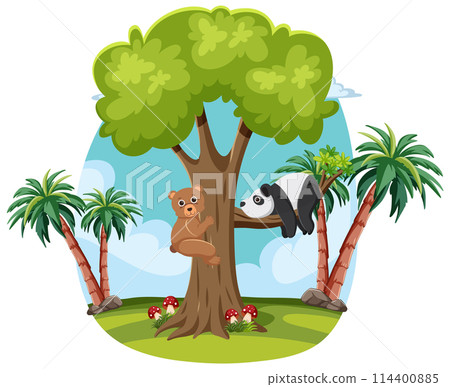Friendly Animals in Tropical Forest Friendly Animals in Tropical Forest 114400885