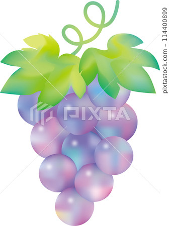 Cute rainbow colored watercolor grape illustration 114400899
