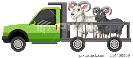 Rams Transported in Pickup Truck Rams Transported in Pickup Truck 114400909