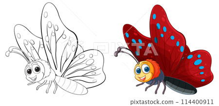 Colorful Butterfly Illustration in Two Stages Colorful Butterfly Illustration in Two Stages 114400911
