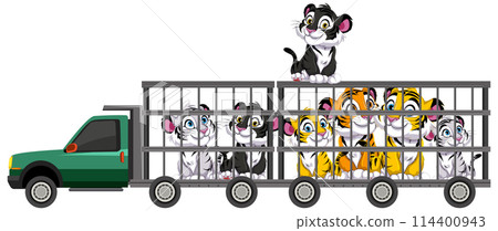 Colorful Tigers in a Transport Truck Colorful Tigers in a Transport Truck 114400943