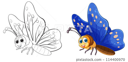 Colorful Butterfly Vector Illustration 114400970