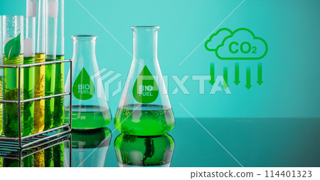 Algae fuel biofuel industry lab researching for alternative to fossil algae fuel or algal biofuel. Algae fuel biofuel industry lab researching for alternative to fossil algae fuel or algal biofuel. 114401323