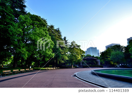 從日比谷公園眺望東京中城日比谷的晨景 從日比谷公園眺望東京中城日比谷的晨景 114401389