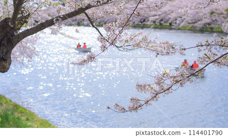 Hirosaki Castle Park, boating on the western moat of Hanaikada, Aomori Prefecture 114401790