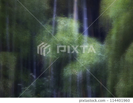 奇妙的竹子 奇妙的竹子 114401960