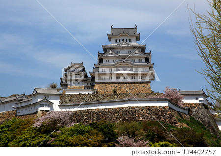 日本城堡姬路城,天守閣在藍天的襯托下熠熠生輝 日本城堡姬路城,天守閣在藍天的襯托下熠熠生輝 114402757