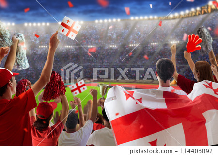 Georgia football team supporter on stadium. 114403092