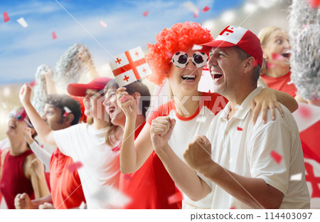 Georgia football team supporter on stadium. 114403097