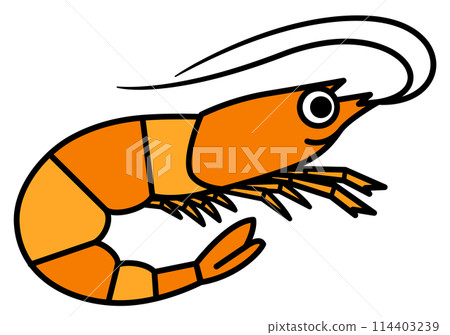 海洋生物蝦 海洋生物蝦 114403239