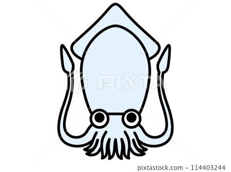 海洋生物烏賊 114403244
