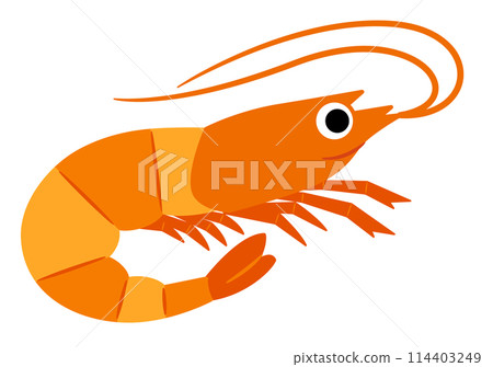 Sea creatures: shrimp 114403249