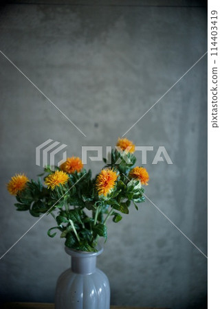 Safflower flowers 114403419