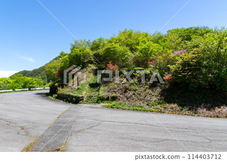伊香保森林公園杜鵑丘休息處入口 群馬縣榛名山 114403712