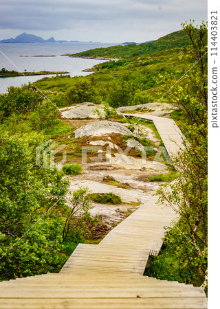 Walkway and fjord landscape, Lofoten Norway Walkway and fjord landscape, Lofoten Norway 114403821