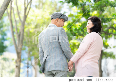 Senior couple walking green back view Senior couple walking green back view 114403828
