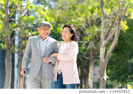 Senior couple walking with walking sticks, green 114403852