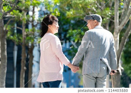 Senior couple walking green back view 114403880