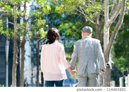 Senior couple walking green back view 114403881