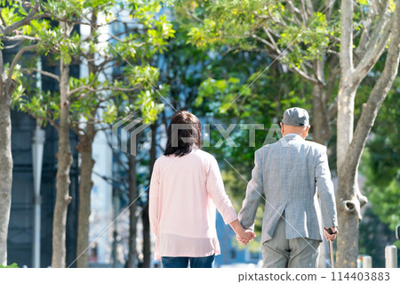 Senior couple walking green back view 114403883