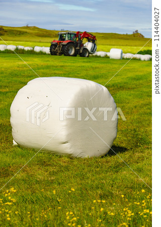 Bale of hay wrapped in plastic foil, Norway Bale of hay wrapped in plastic foil, Norway 114404027