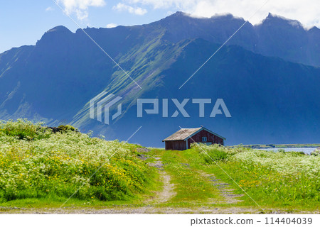 Landscape at Hovsund village Lofoten Norway 114404039