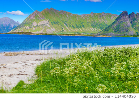 Seascape in Gimsoysand, Lofoten islands, Norway Seascape in Gimsoysand, Lofoten islands, Norway 114404050