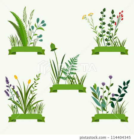 Hand drawn flat herbs and grasses mini composition set 114404345