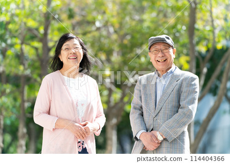 高級夫婦肖像綠色 114404366