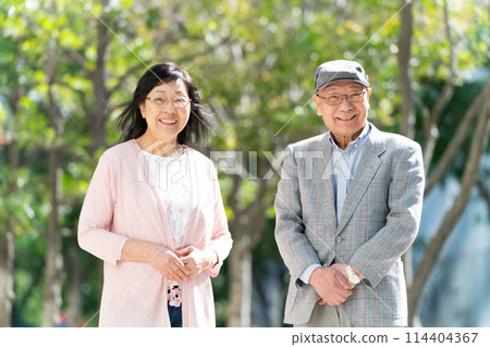 高級夫婦肖像綠色 114404367