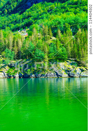 Norwegian house hytte in the mountains 114404802