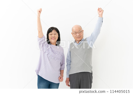 Senior couple fists pose 114405015