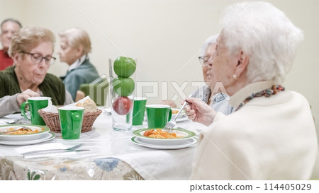Senior woman eating pasta with friends in nursing home 114405029