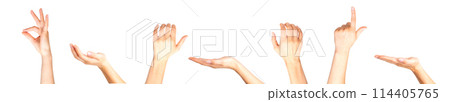 Set of woman hands showing different gestures, pointing and showing signs Set of woman hands showing different gestures, pointing and showing signs 114405765