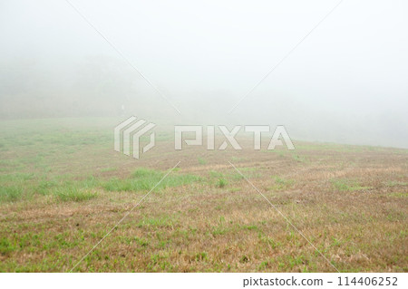 Prairie wrapped in fog Prairie wrapped in fog 114406252