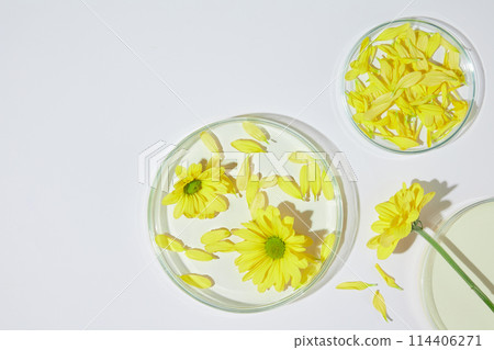 Above angle shot photo, white table with laboratory glassware contains calendula flowers and petals placed above. Photo was taken from top view with blank space for displaying organic product 114406271